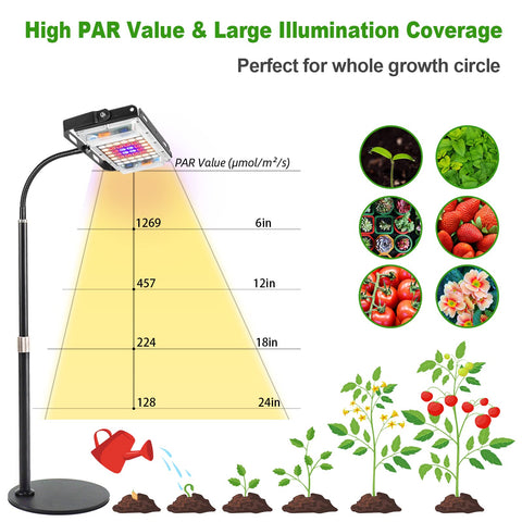 LBW Grow Light suited for indoor plants on desks, corners, and offices.