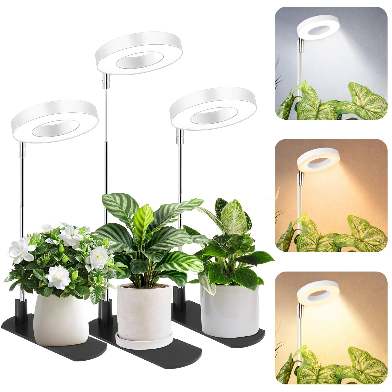 LBW Grow Light over a compact herb setup showing height-adjustable pole for steady indoor growth