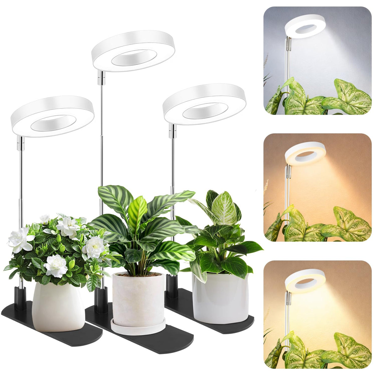 LBW Grow Light over a compact herb setup showing height-adjustable pole for steady indoor growth