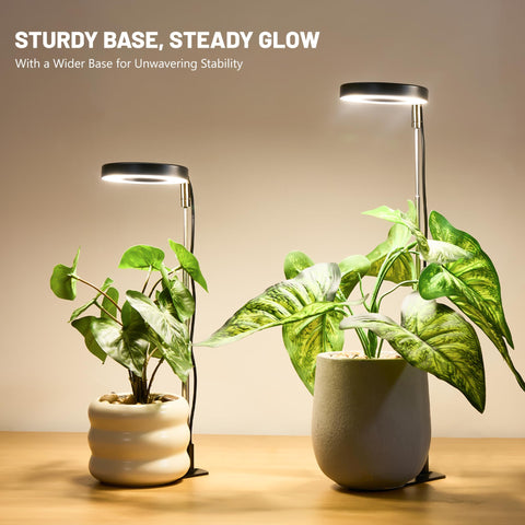 LBW Grow Light indoor stand option for versatile setup.