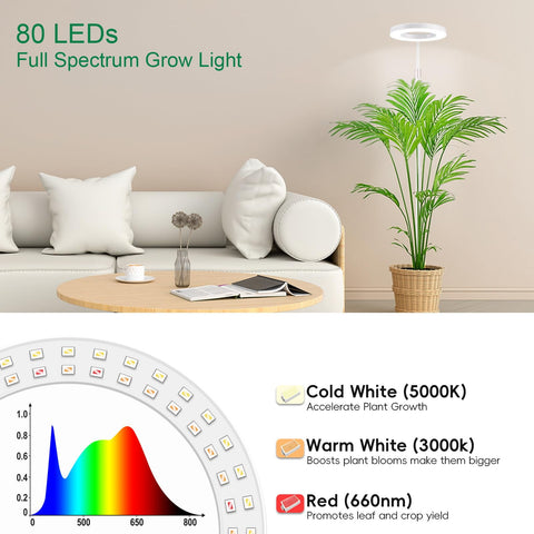 LBW Grow Light Auto Timer maintains consistent daily lighting for plants.