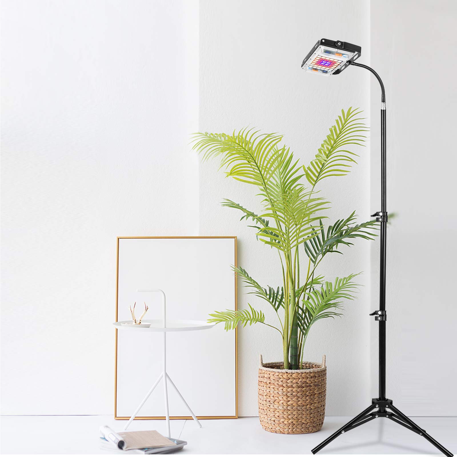 LBW grow light at extended height for tall indoor plants