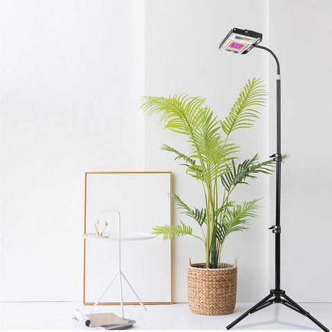 LBW grow light at extended height for tall indoor plants