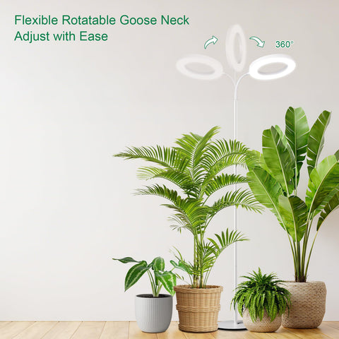 LBW Grow Light offers three modes and dimming for customizing care.