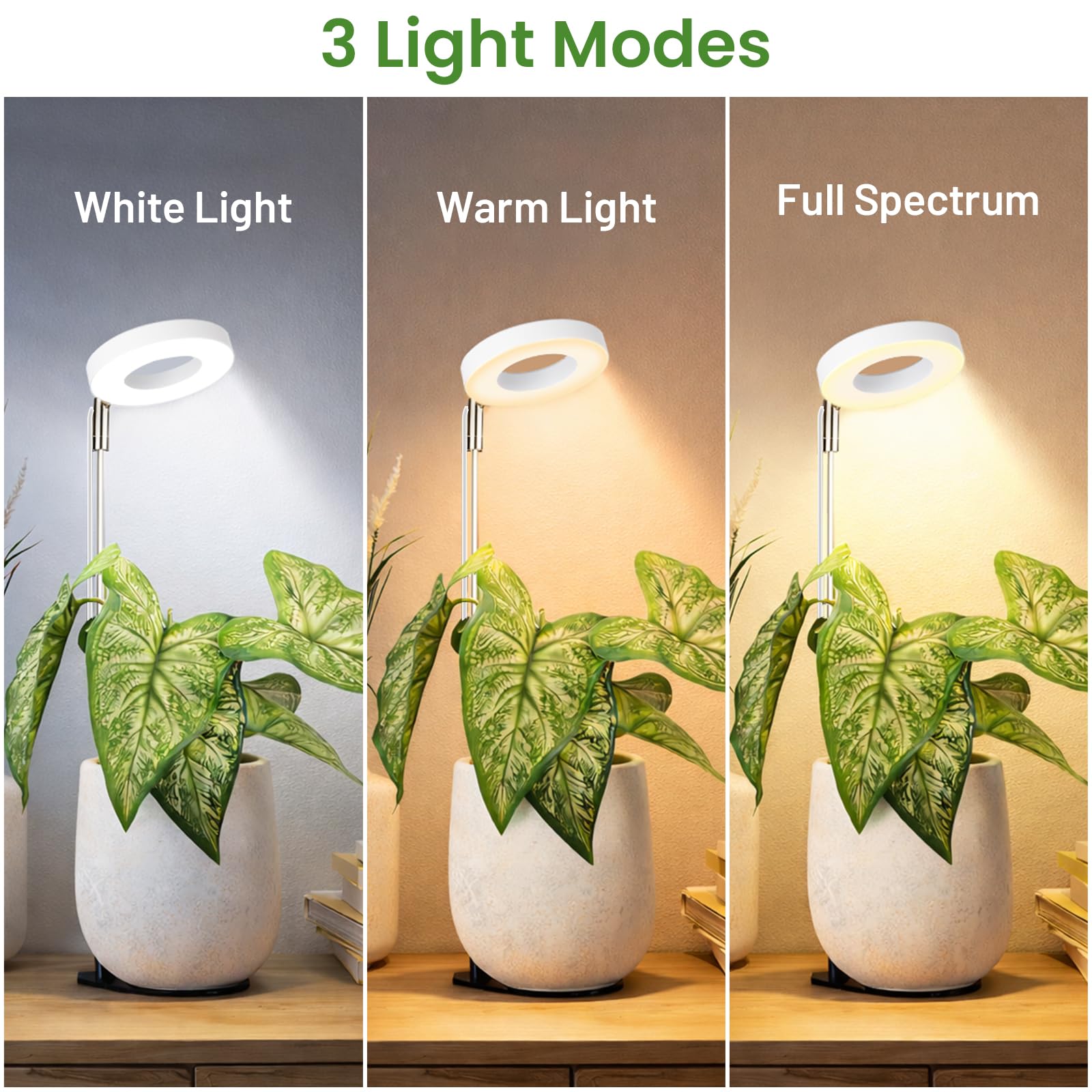 LBW Grow Light shows white, warm, and full-spectrum options.