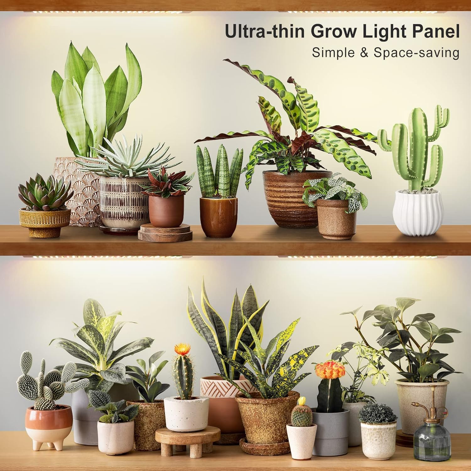 LBW Plant Grow Light timer enables auto schedules for daily consistency.