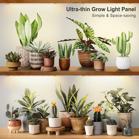 LBW Plant Grow Light timer enables auto schedules for daily consistency.