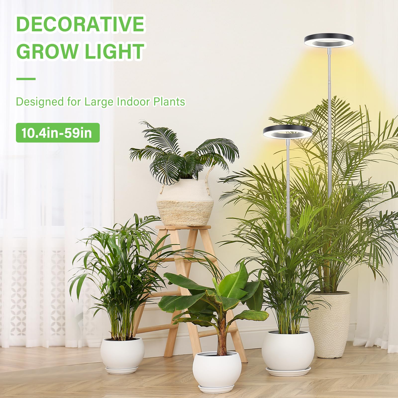 LBW design supports tall and large plants in various indoor spaces.