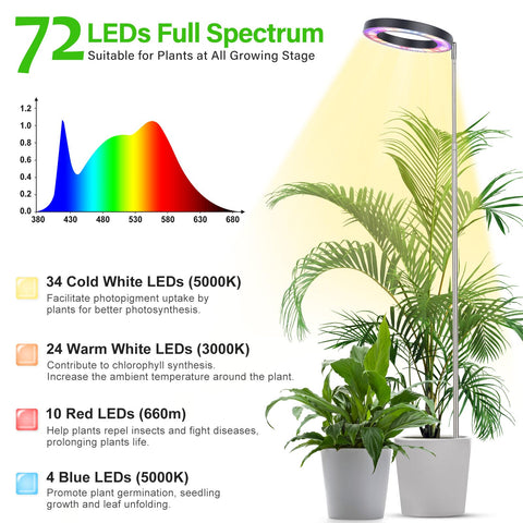 LBW Plant Grow Light timer cycle ensures consistent daily lighting for thriving greens.
