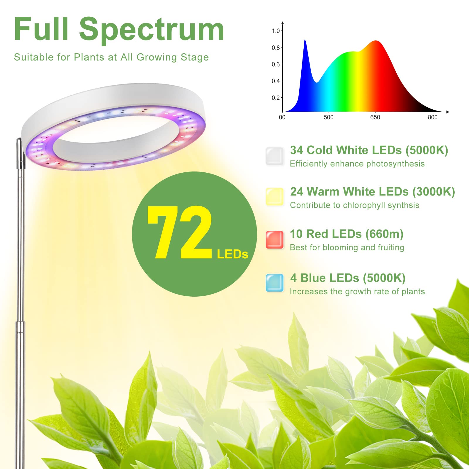 LBW Plant Grow Light timer display shows 4/8/12-hour cycles for automatic schedules.