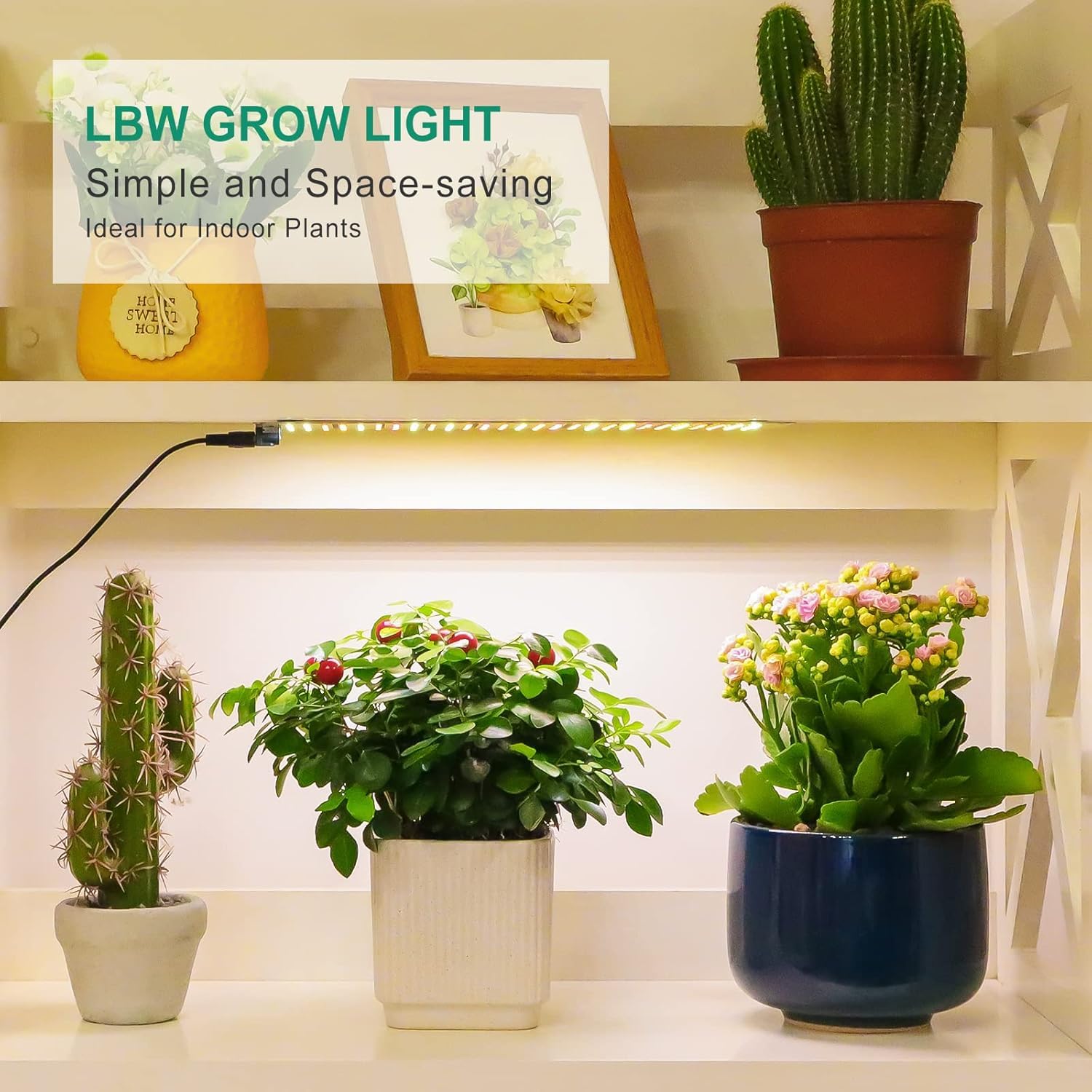 LBW 2-pack provides broad coverage for multiple plants