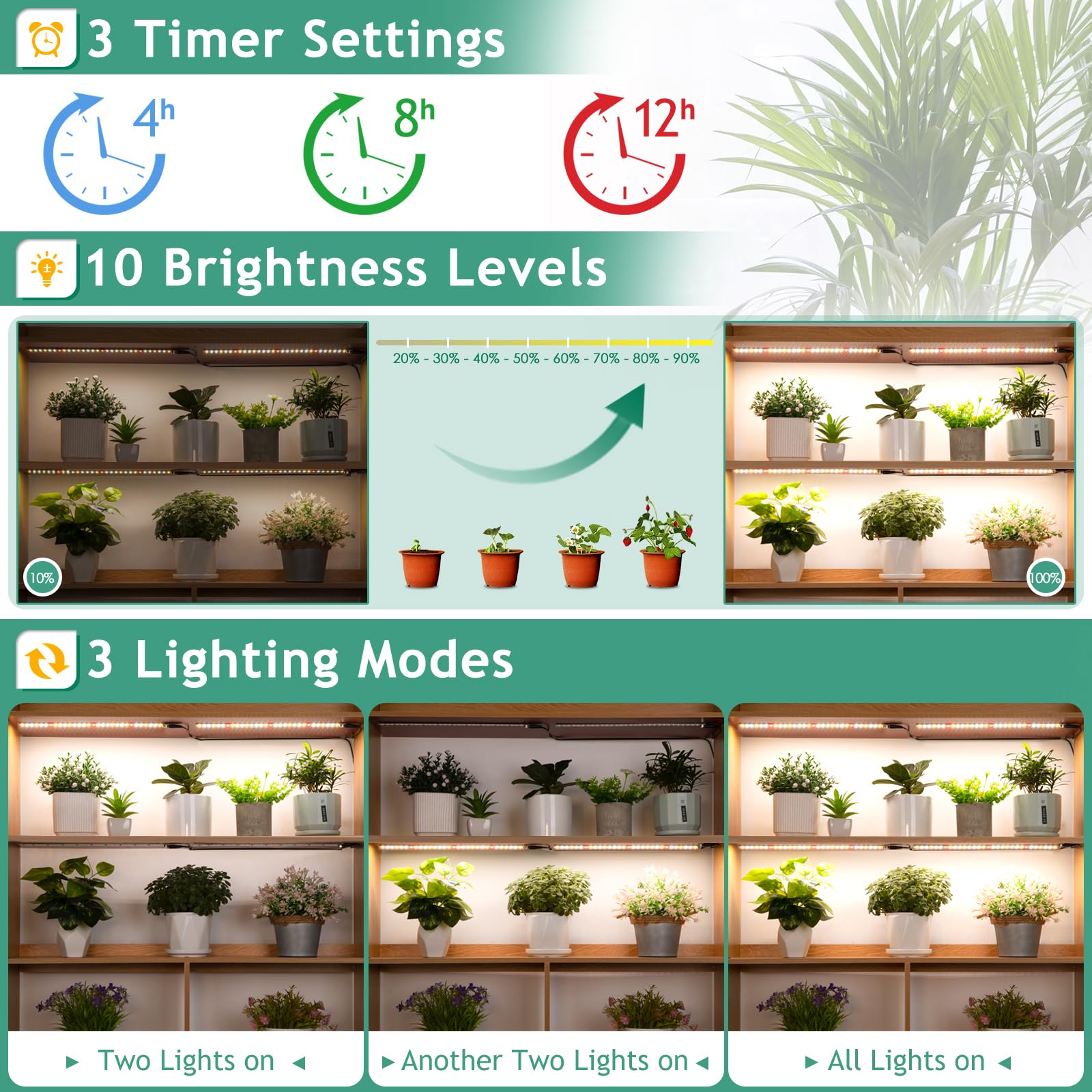 LBW Timer 4/8/12 hours enables hands-off operation during work or vacation