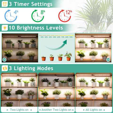 LBW Timer 4/8/12 hours enables hands-off operation during work or vacation