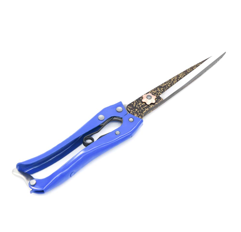 LCDCM Grass Sheep Shear with blue handle for precise manual shearing.