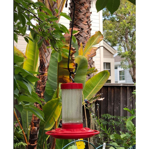 Lchkrep indoor-outdoor hangers suit versatile spaces and setups.