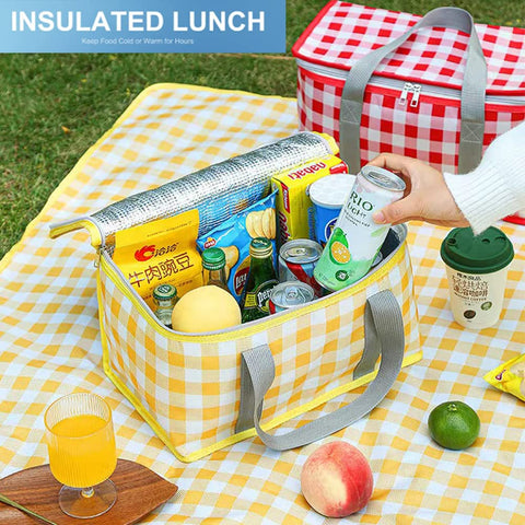 Lchkrep insulated bag standing upright on a picnic blanket.