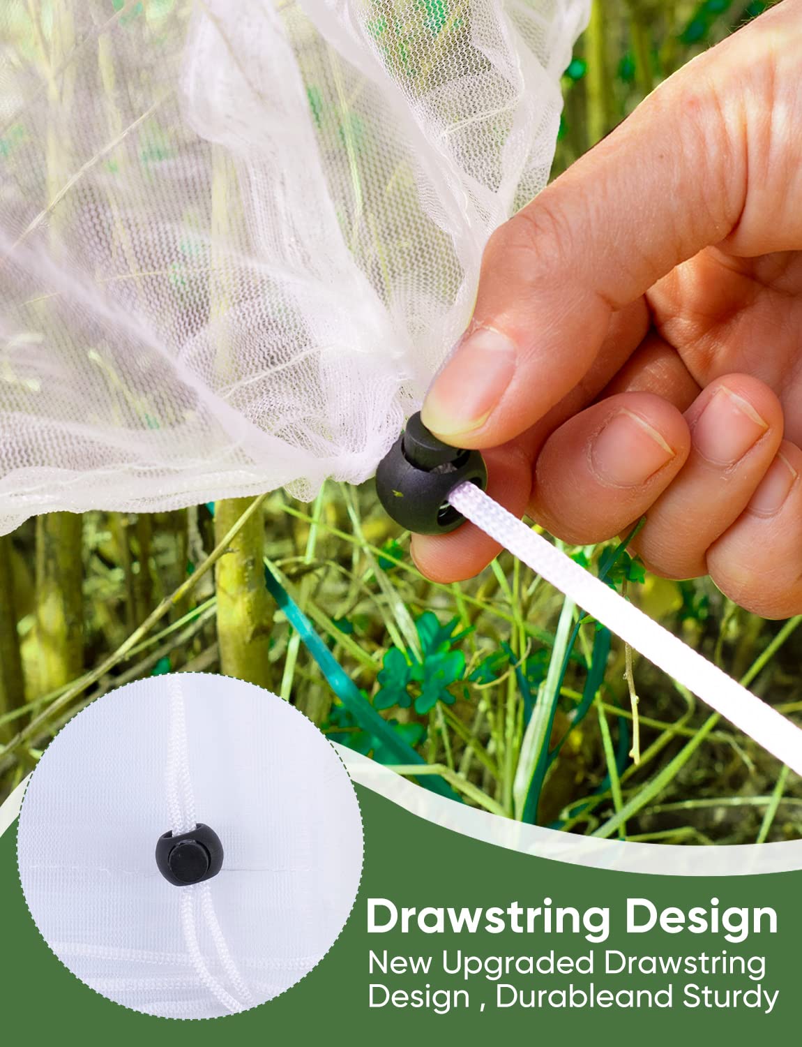 LCHUANG blueberry netting protection keeps berries safe from birds.