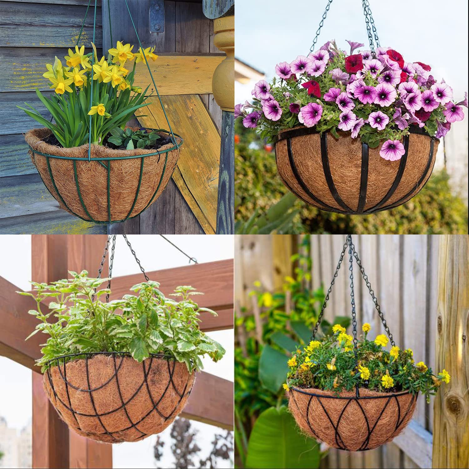 LCHUANG Coco Liners suit weddings, balconies, and home gardens.