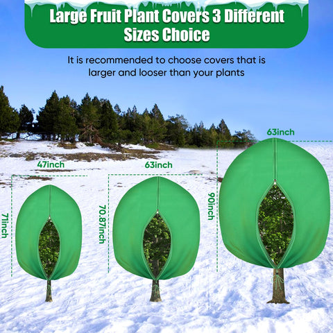 LCHUANG frost blanket on a vegetable bed keeps cold air at bay.