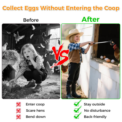 Lconvicely egg picker boosts farm efficiency with quick, calm egg collection