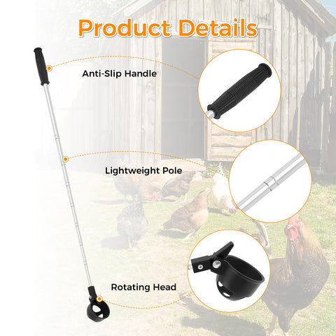 Lconvicely rugged lightweight build withstands daily outdoor coop use