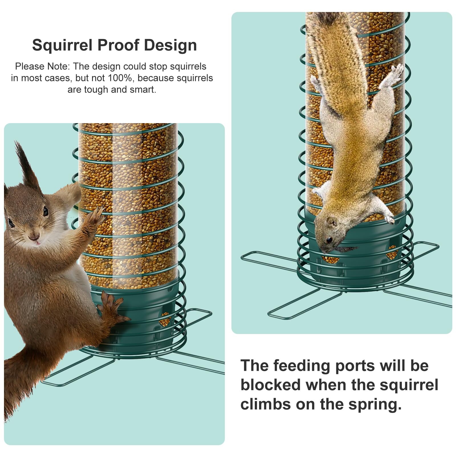 LCSEVEN Bird Feeder's iron-spring tube resists bites, promoting longer seed visibility.