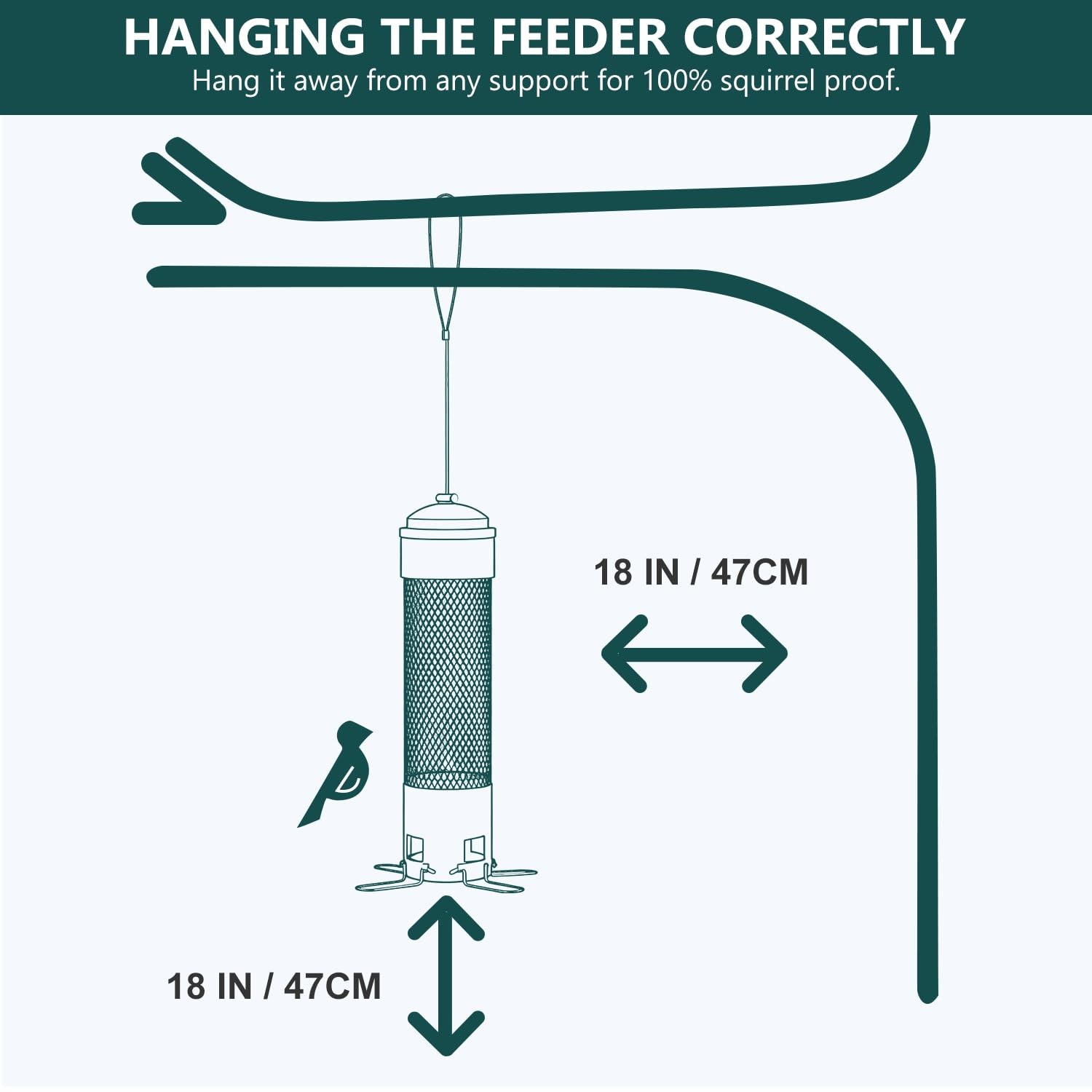 LCSEVEN Four Large Perches support both small and large birds.