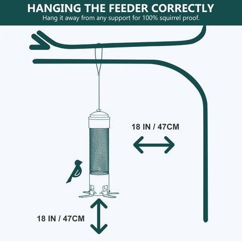 LCSEVEN Four Large Perches support both small and large birds.