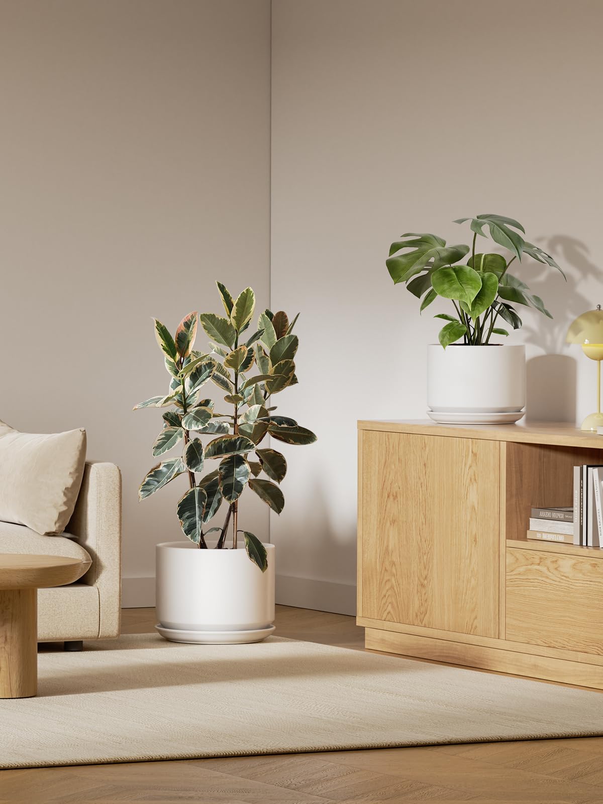 LE TAUCI 12 inch pot drainage holes and saucer enable moisture control.