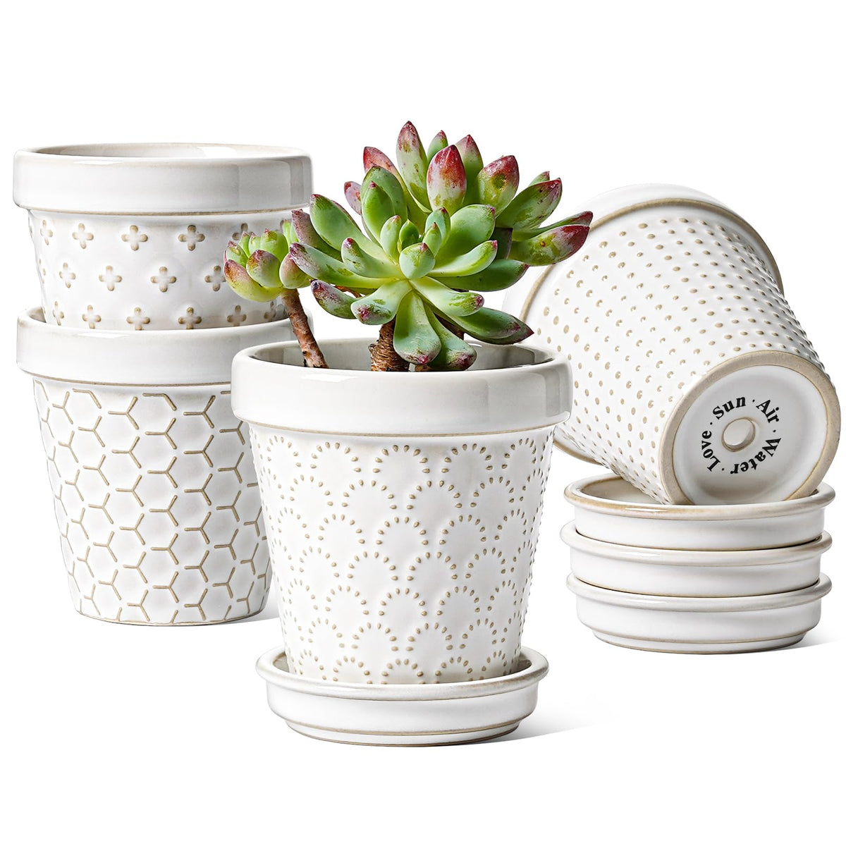 LE TAUCI 3-inch mini succulent pot with Arctic White glaze and embossed detail.