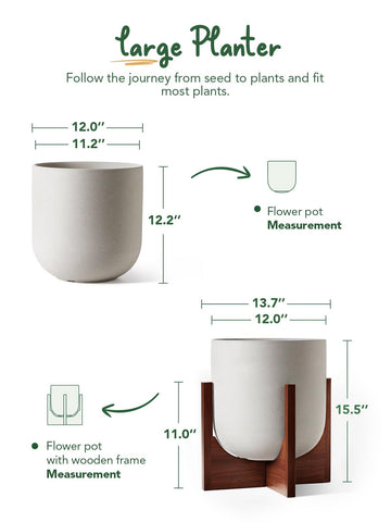 Acacia wood stand assembly shown for sturdy plant display