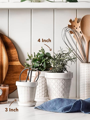 LE TAUCI small air plant pot brightening a table or desk space.