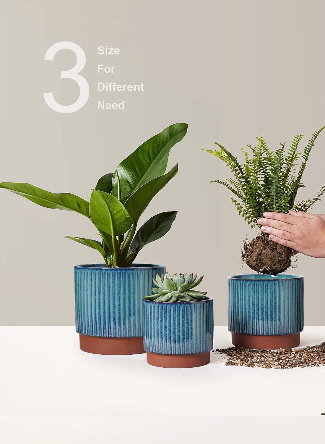 LE TAUCI striped pots arranged together enhance coordinated décor