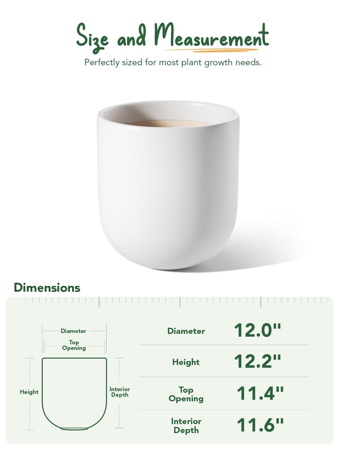 LE TAUCI ceramic large planter 12-inch suited for living room greens