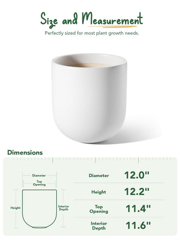 LE TAUCI ceramic large planter 12-inch suited for living room greens
