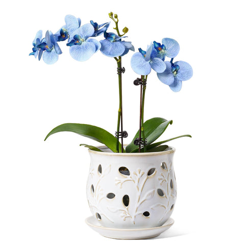 LE TAUCI ceramic orchid pot, 6.5 inch, Arctic White, durable and stylish.