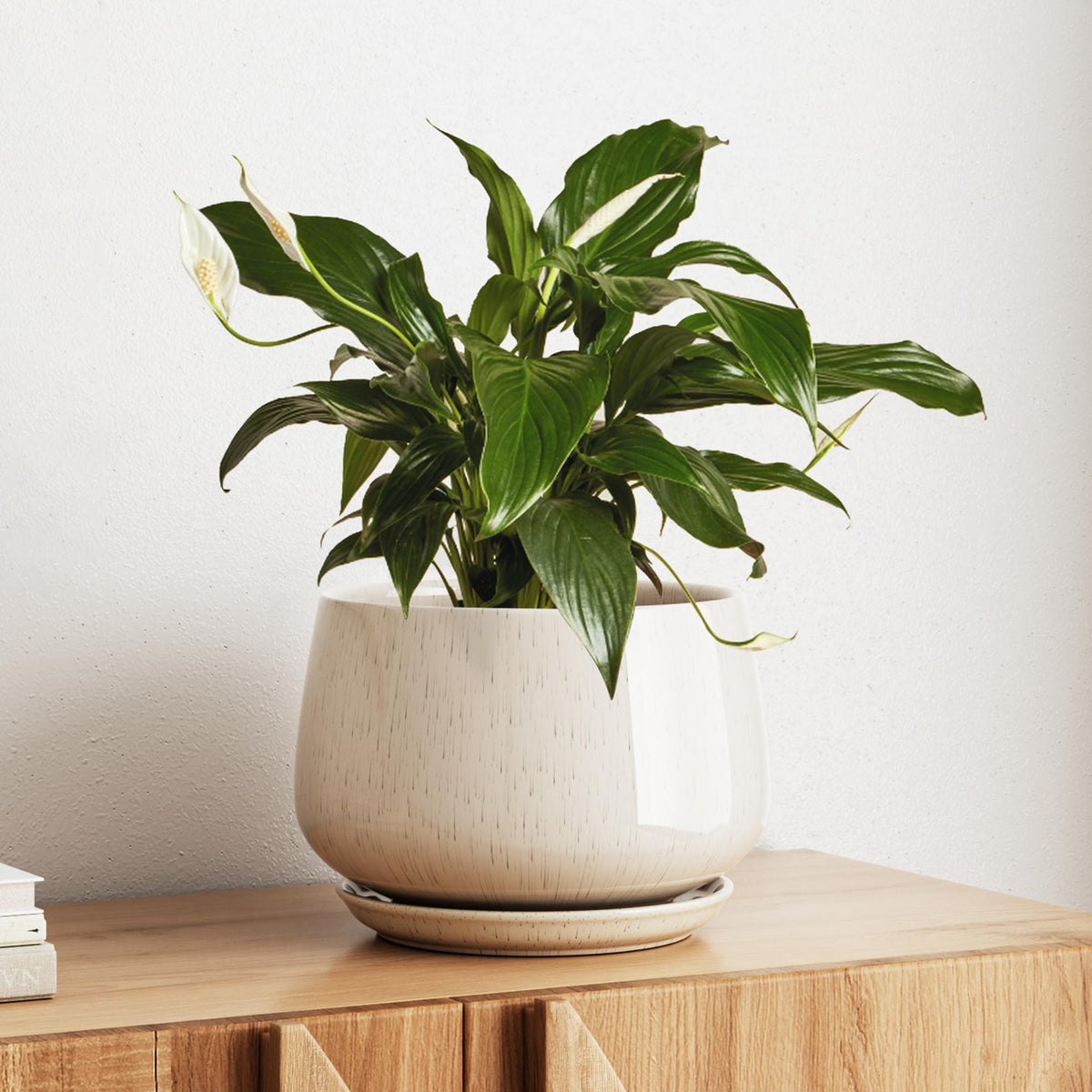 LE TAUCI ceramic planter with drainage hole and saucer for controlled watering at home