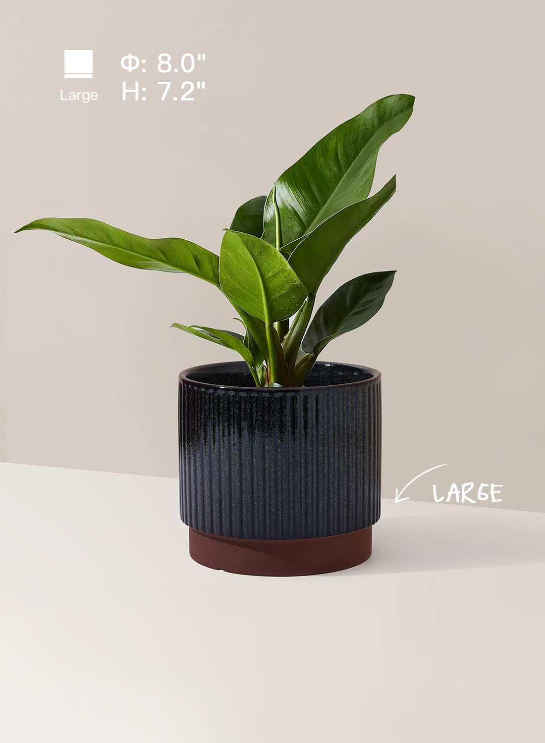LE TAUCI 5.5-inch striped planter with drainage holes for small plants.
