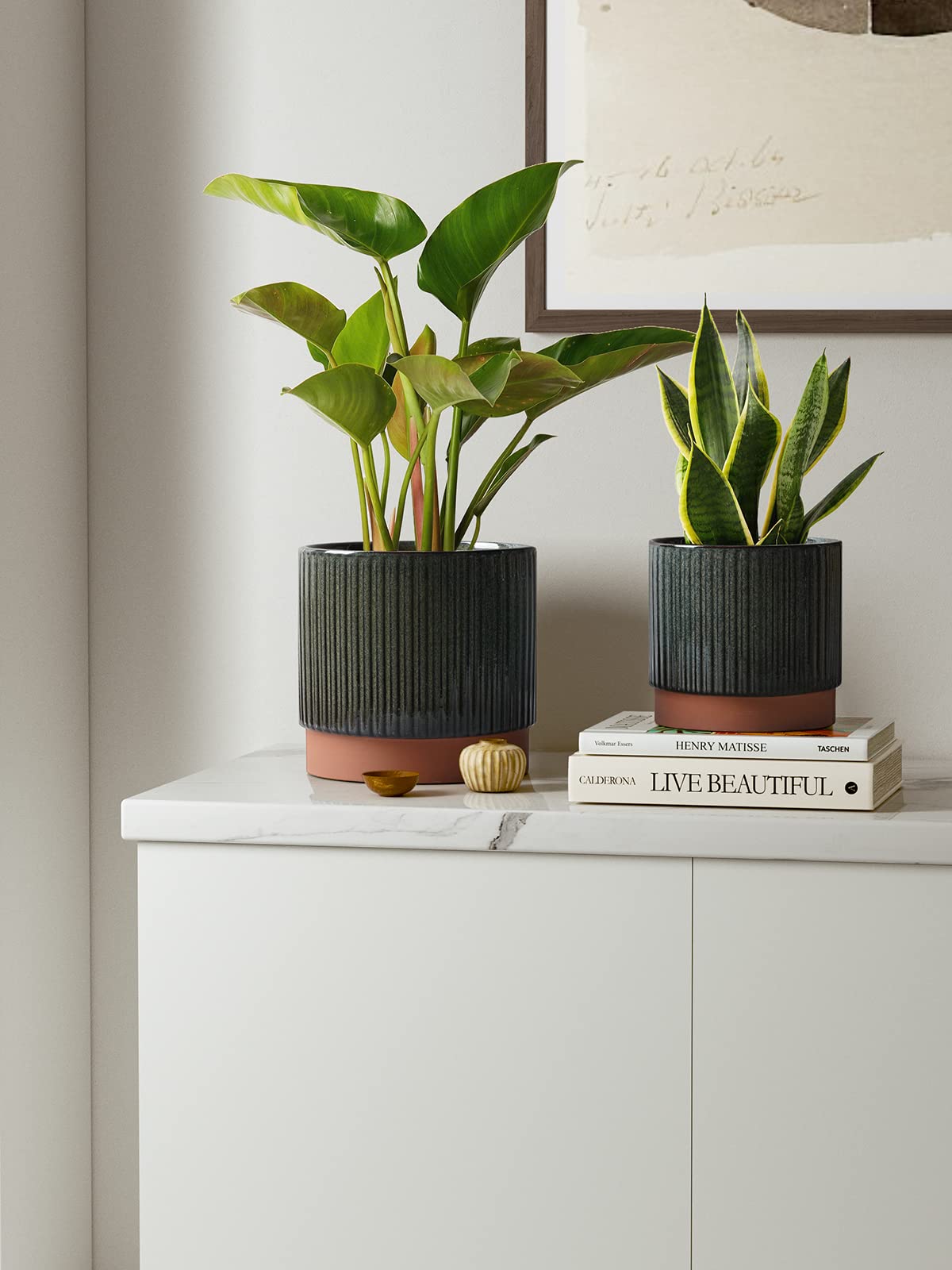 LE TAUCI 6.7-inch striped ceramic planter with drainage for versatile spaces.