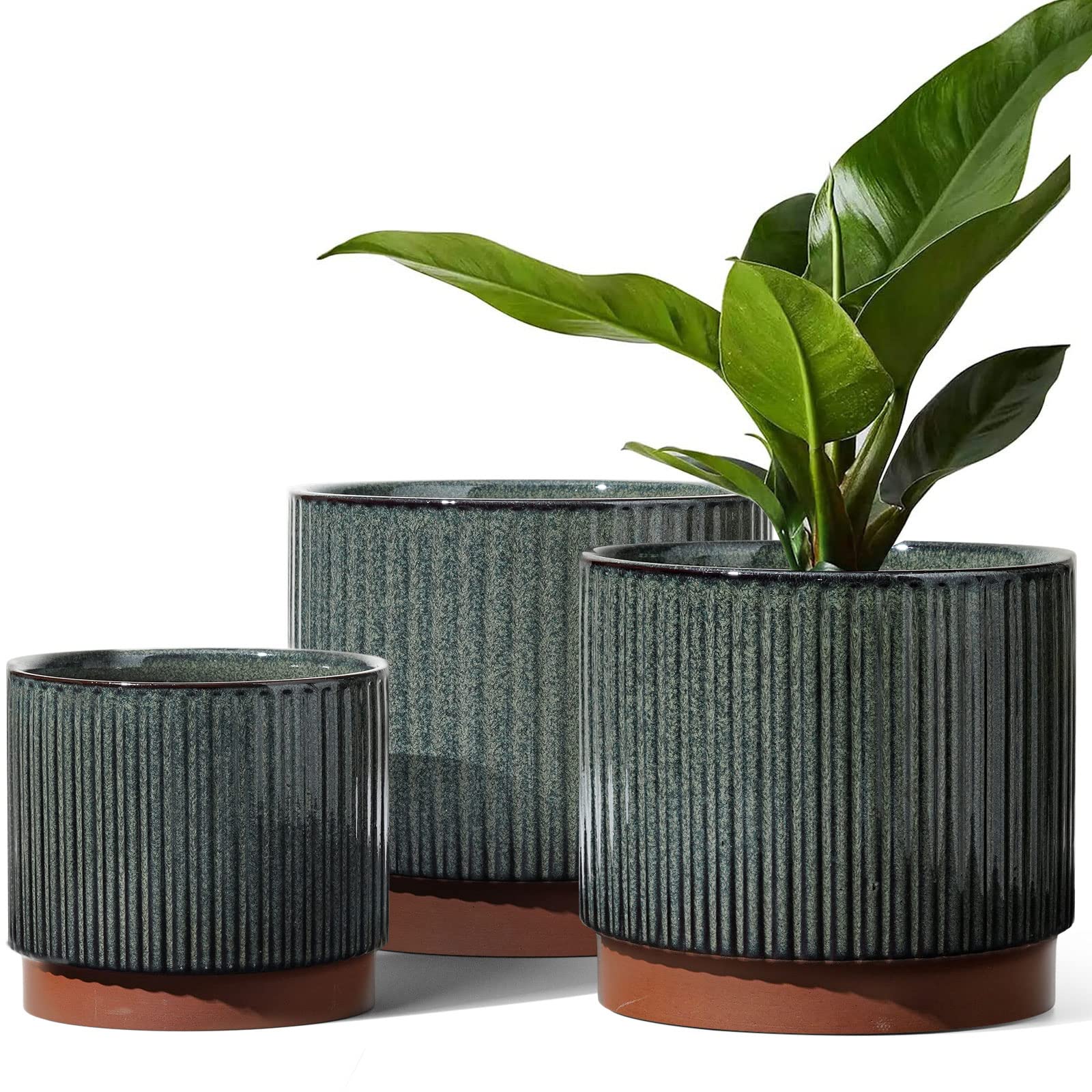 LE TAUCI ceramic planter, 8-inch striped with drainage for indoor or outdoor use.
