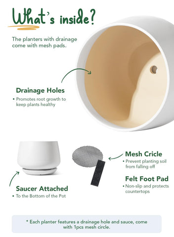 LE TAUCI ceramic planter gift packaging appeals to plant lovers