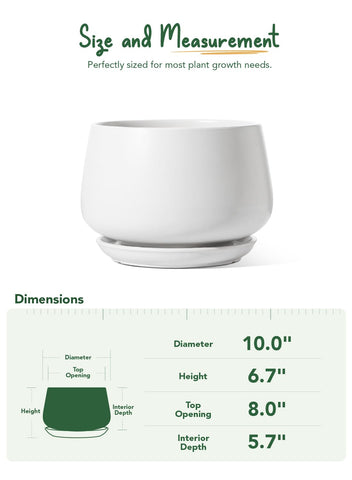 LE TAUCI ceramic planter indoor decor setup complements a modern home