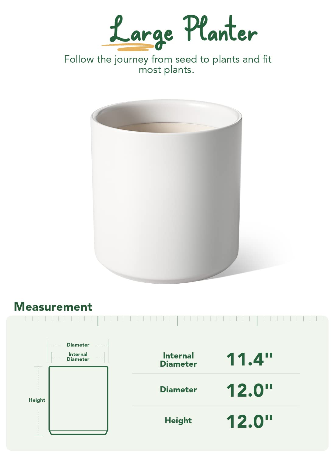 LE TAUCI planter paired with monstera for stylish home decor.