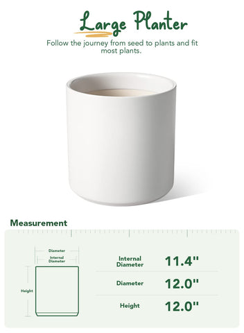 LE TAUCI planter paired with monstera for stylish home decor.