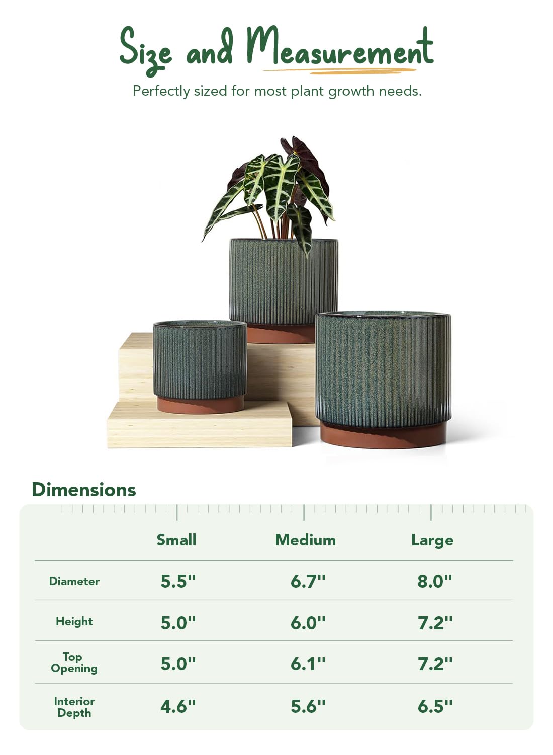 LE TAUCI striped planter with orchids or succulents display.