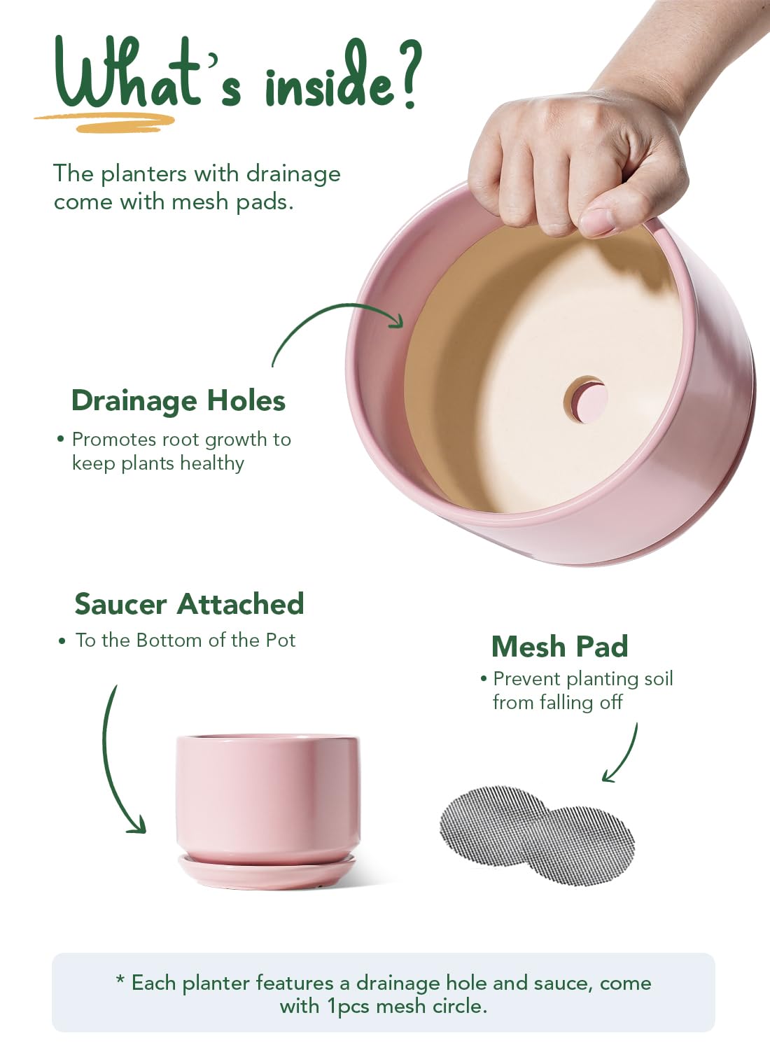 LE TAUCI ceramic planter with saucer catches drips for tidy spaces