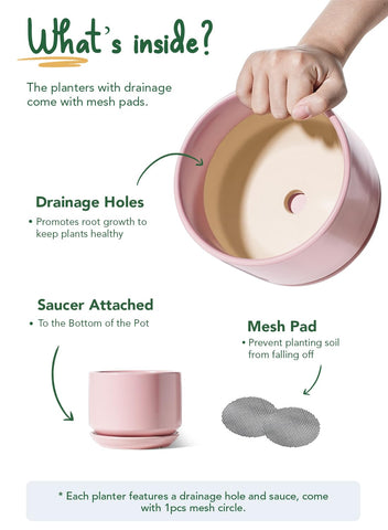 LE TAUCI ceramic planter with saucer catches drips for tidy spaces