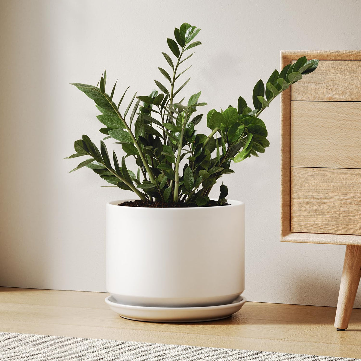 LE TAUCI 10-inch ceramic pot with drainage hole and saucer for healthy indoor plant growth