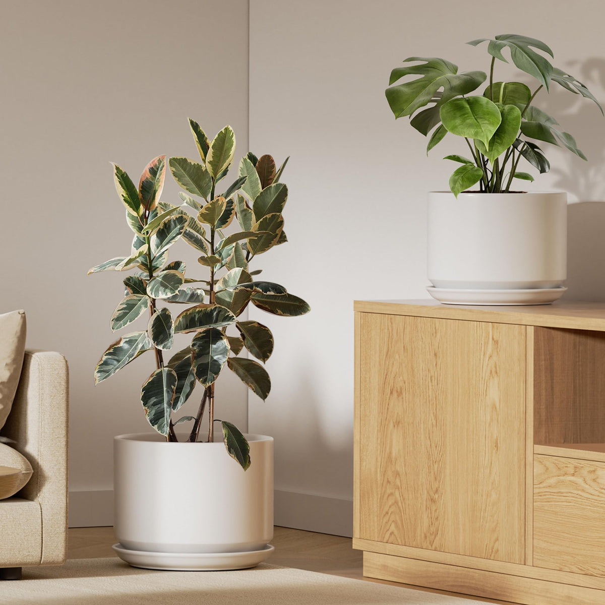 LE TAUCI 10-inch ceramic pot with drainage, perfect for small plants.