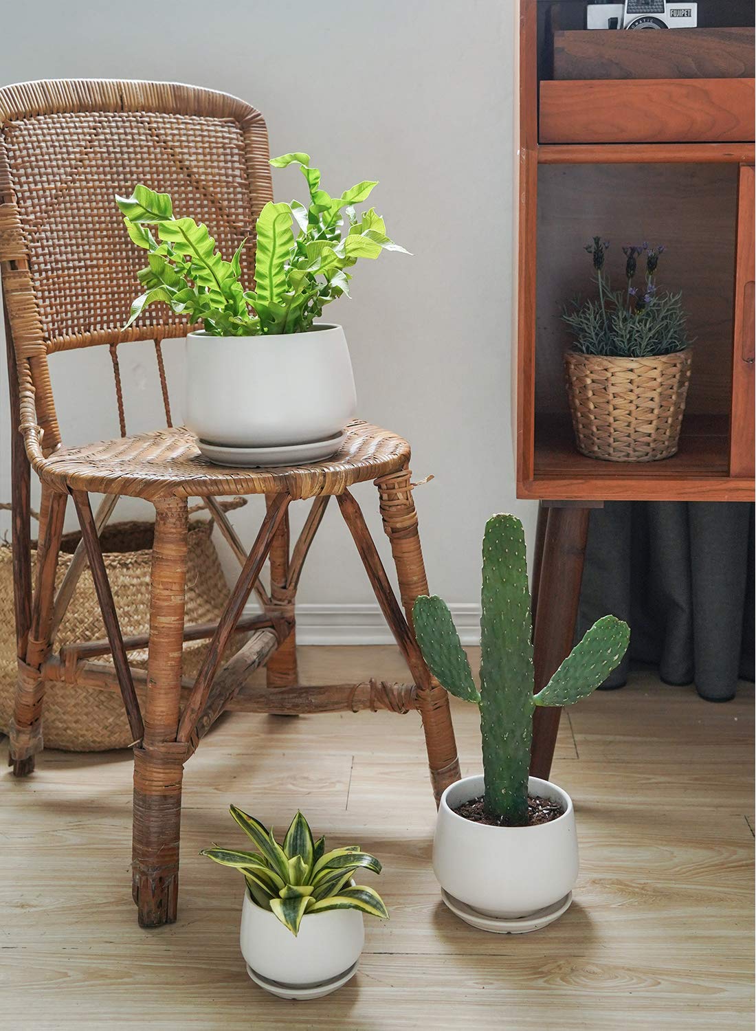 LE TAUCI ceramic pot 4-inch front view ideal for succulents and small herbs